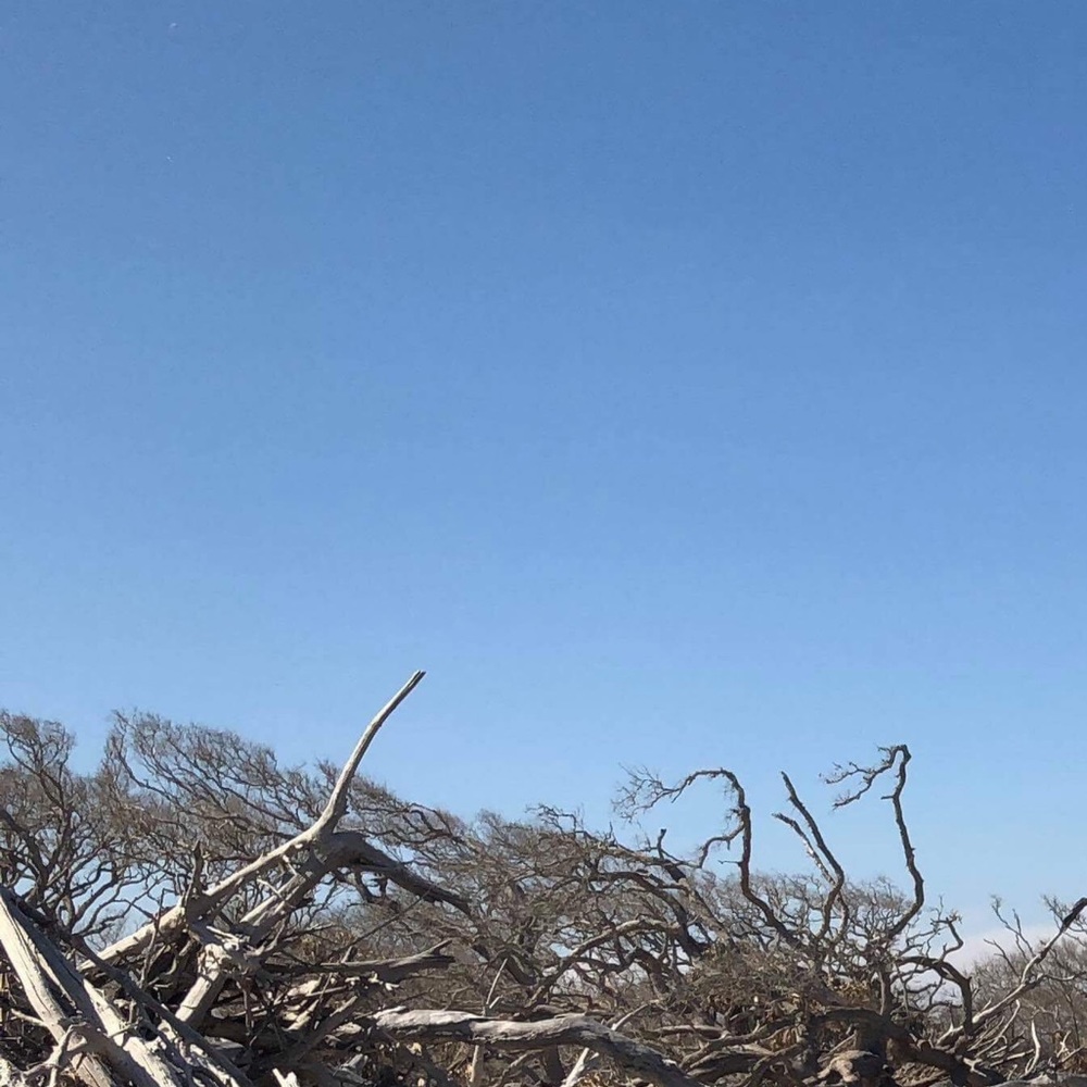 Meet your Posher, Mya